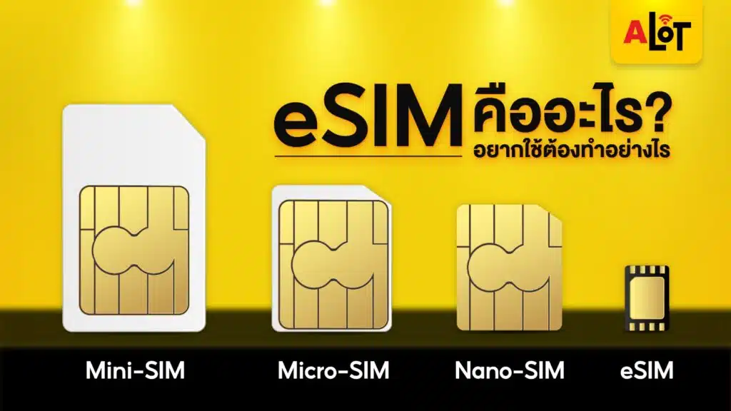 e-sim