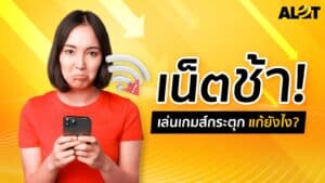เน็ตช้า