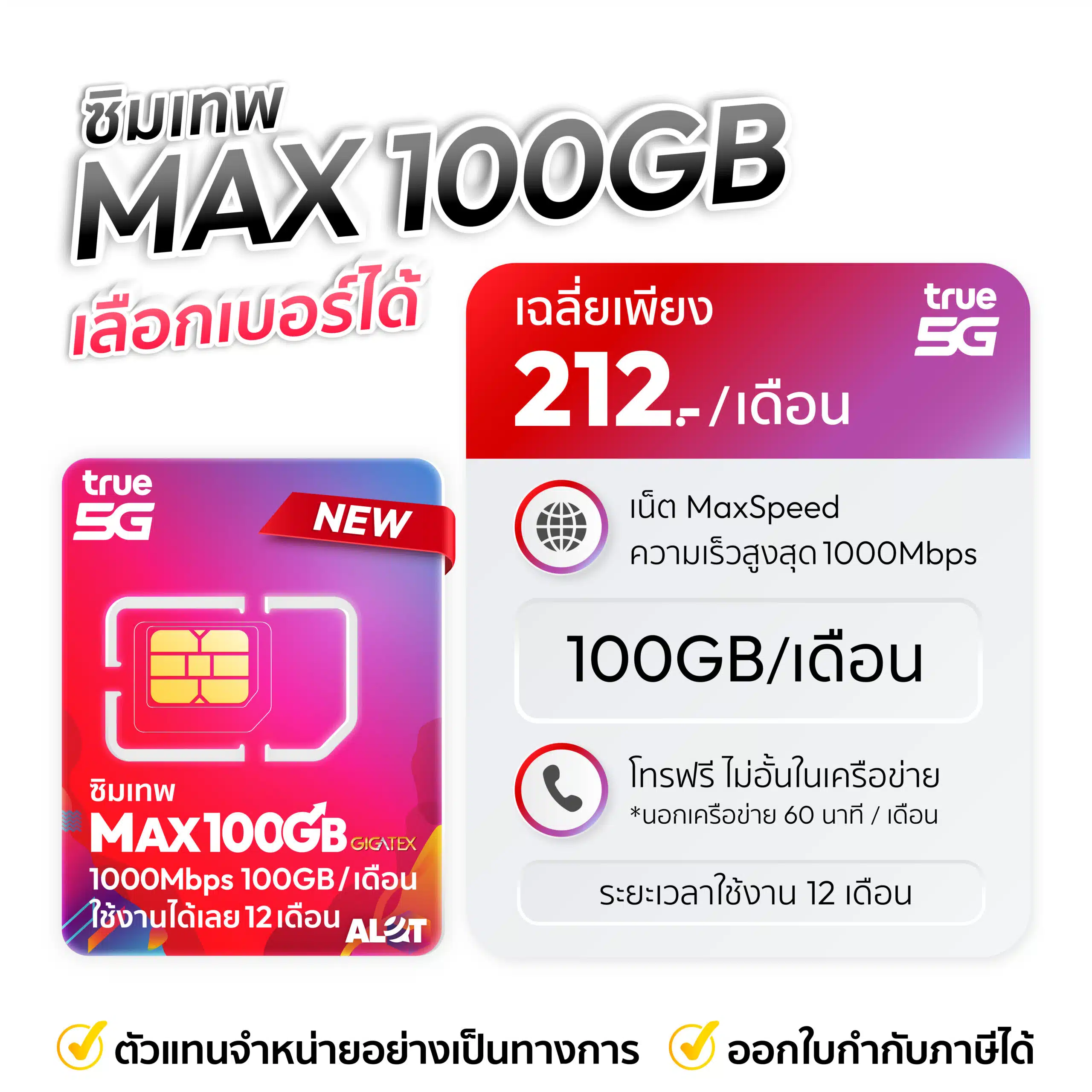 max100gb