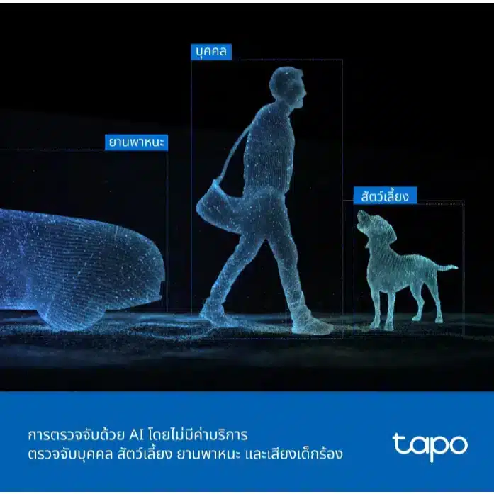 ระบบ AI ของ Tapo C246D ตรวจจับบุคคล ยานพาหนะ และสัตว์เลี้ยง
